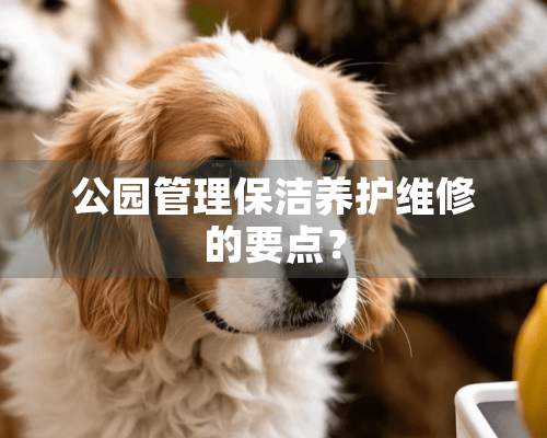 公园管理保洁养护维修的要点？