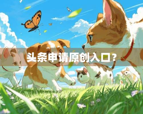 头条申请原创入口？