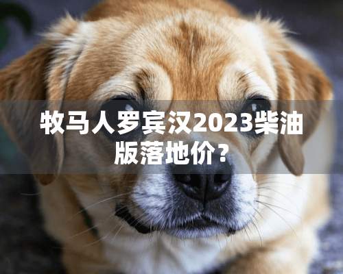 牧马人罗宾汉2023柴油版落地价？