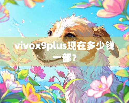 vivox9plus现在多少钱一部？