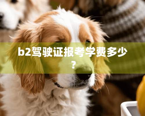 b2***报考学费多少？