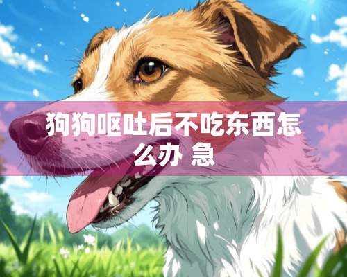 狗狗呕吐后不吃东西怎么办 急