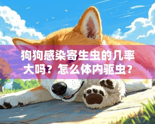 狗狗感染寄生虫的几率大吗？怎么体内驱虫？