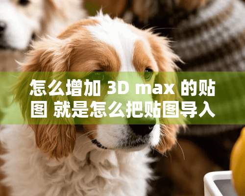 怎么增加 3D max 的贴图 就是怎么把贴图导入3D max中？