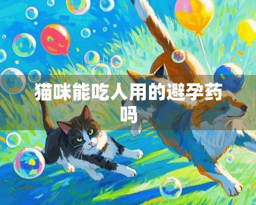 猫咪能吃人用的避孕药吗