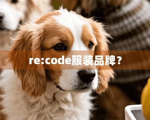 re:code服装品牌？