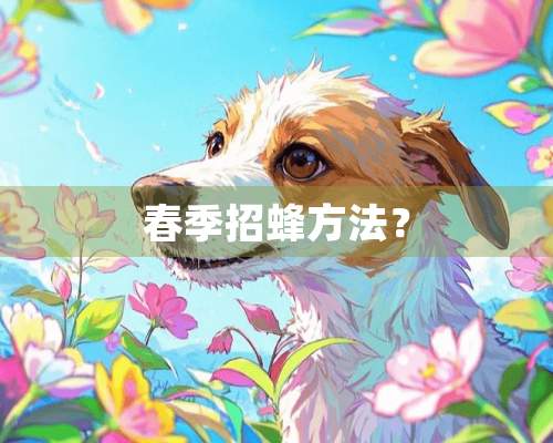 春季招蜂方法？