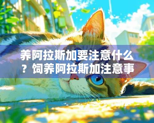 养阿拉斯加要注意什么？饲养阿拉斯加注意事项