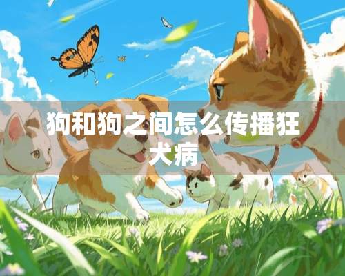 狗和狗之间怎么传播狂犬病