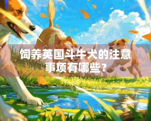 饲养英国斗牛犬的注意事项有哪些？