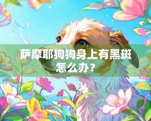 萨摩耶狗狗身上有黑斑怎么办？