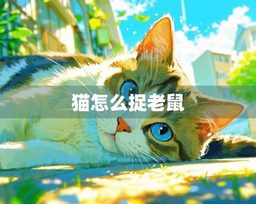 猫怎么捉老鼠