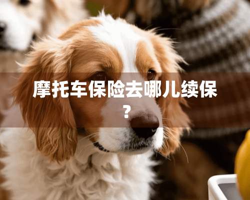 摩托车保险去哪儿续保？