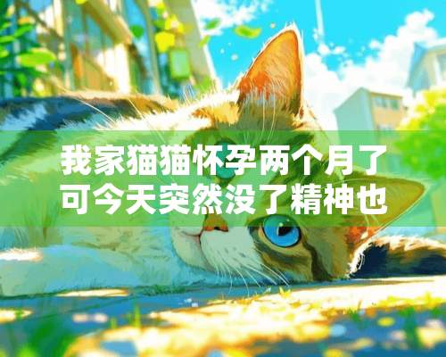 我家猫猫怀孕两个月了可今天突然没了精神也不吃饭是怎么回事？急