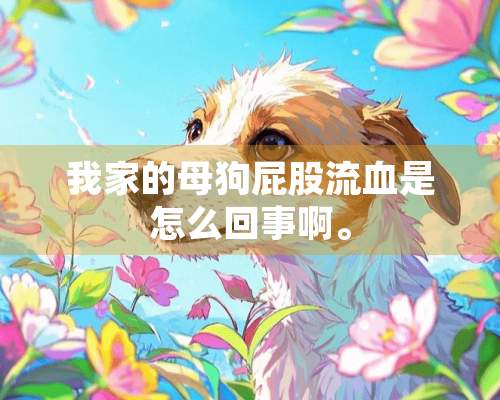 我家的母狗**流血是怎么回事啊。