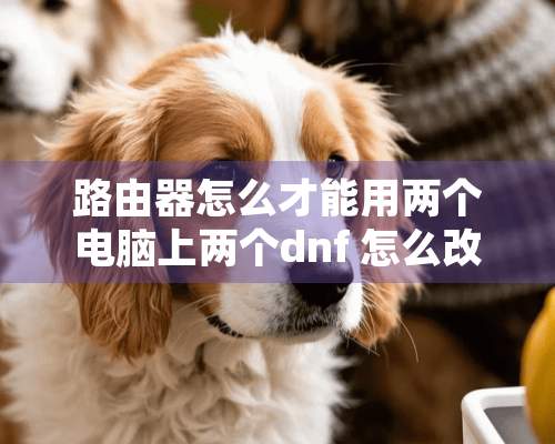 路由器怎么才能用两个电脑上两个dnf 怎么改IP啊 改哪里的IP求高手