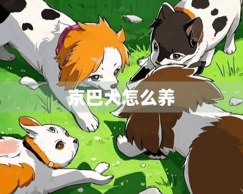 京巴犬怎么养