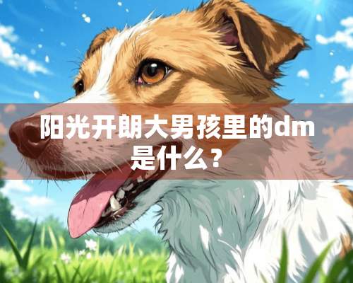 阳光开朗大男孩里的dm是什么？