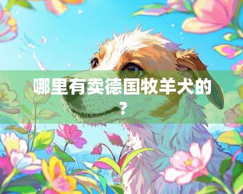 哪里有卖德国牧羊犬的？