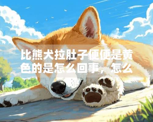 比熊犬拉肚子便便是**的是怎么回事，怎么办？