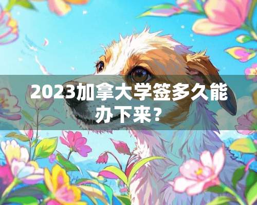 2023加拿大学签多久能办下来？