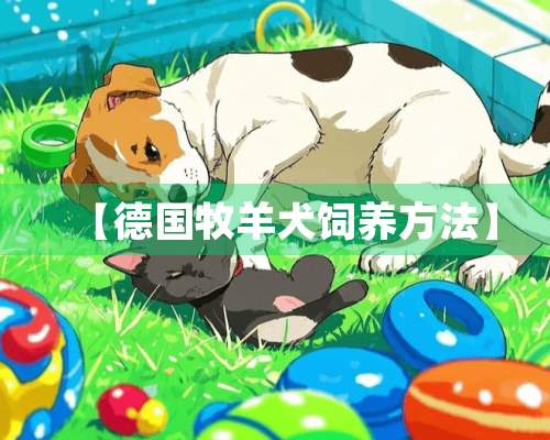 【德国牧羊犬饲养方法】