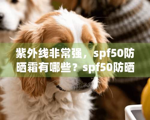 紫外线非常强，spf50防晒霜有哪些？spf50防晒霜有哪些推荐？