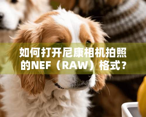 如何打开尼康相机拍照的NEF（RAW）格式？