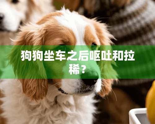 狗狗坐车之后呕吐和拉稀？