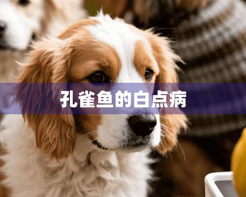 孔雀鱼的白点病