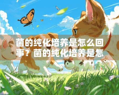 菌的纯化培养是怎么回事？菌的纯化培养是怎么？