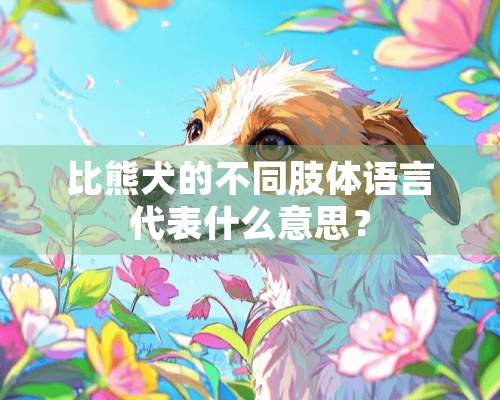 比熊犬的不同肢体语言代表什么意思？