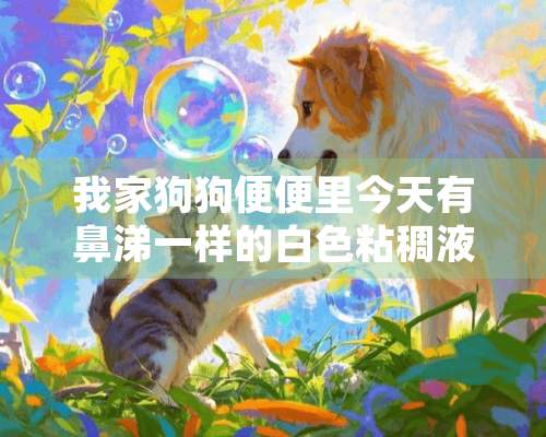 我家狗狗便便里今天有鼻涕一样的白色粘稠液体，怎么回事？？懂得进！！ 着急！！谢谢，下面有照片