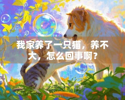 我家养了一只猫，养不大，怎么回事啊？