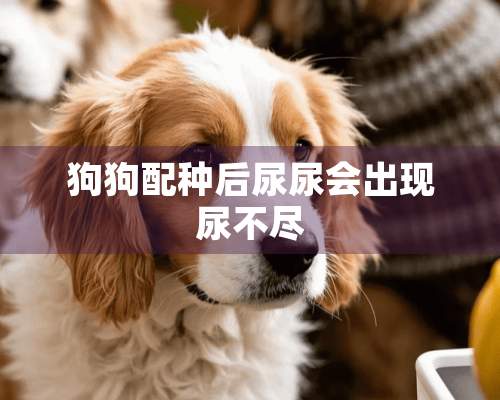 狗狗配种后尿尿会出现尿不尽