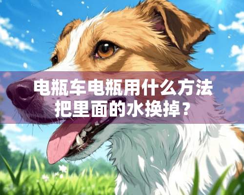 电瓶车电瓶用什么方法把里面的水换掉？