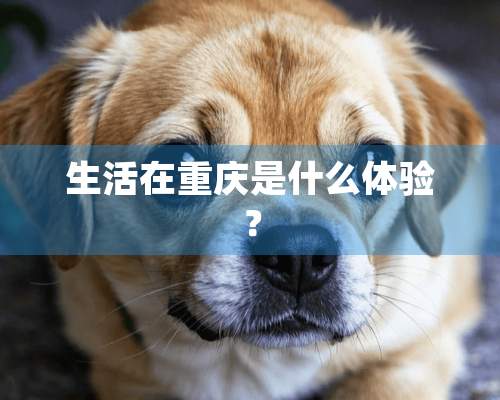 生活在重庆是什么体验？