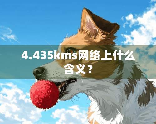 4.435kms网络上什么含义？