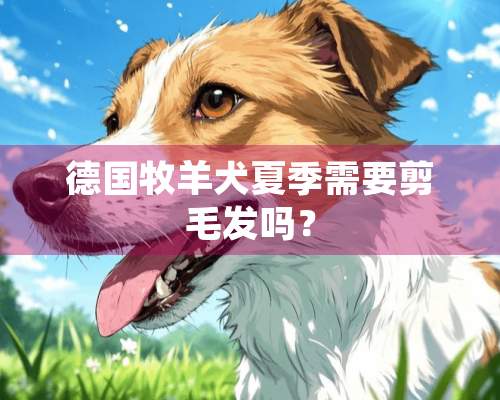 德国牧羊犬夏季需要剪毛发吗？