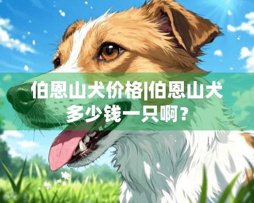 伯恩山犬价格|伯恩山犬多少钱一只啊？