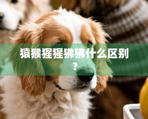 猿猴猩猩狒狒什么区别？