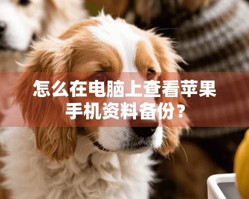 怎么在电脑上查看苹果手机资料备份？