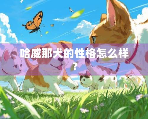 哈威那犬的性格怎么样？