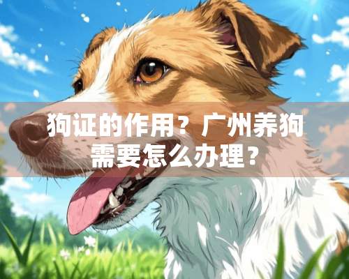 狗证的作用？广州养狗需要怎么办理？