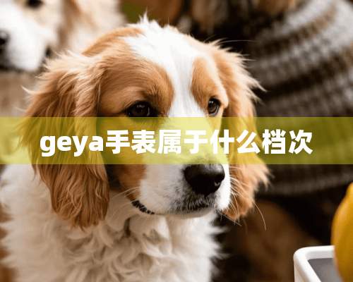 geya手表属于什么档次