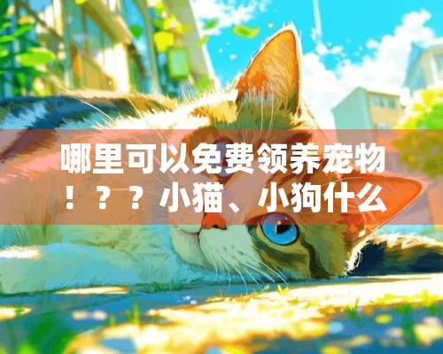 哪里可以免费领养宠物！？？小猫、小狗什么的？！