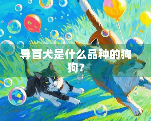 导盲犬是什么品种的狗狗？