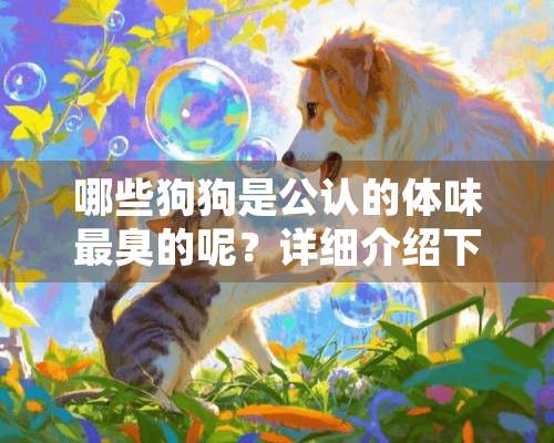 哪些狗狗是公认的体味最臭的呢？详细介绍下？