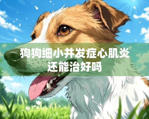 狗狗细小并发症心肌炎还能治好吗