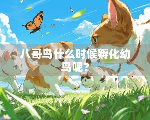 八哥鸟什么时候孵化幼鸟呢？